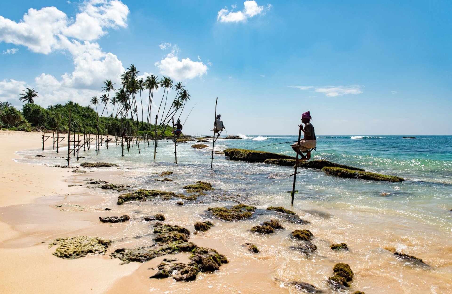 Sri Lanka stilt fishermen on the coast