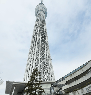 Japan group photo