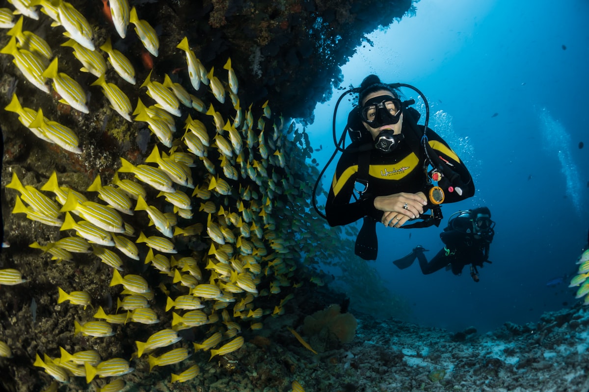 Scuba diving, Elephant Beach